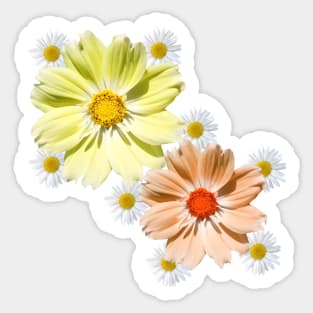 cosmosflower blossom daisy flower tendril daisies bloom Sticker